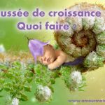 Poussée de croissance : quoi faire