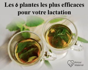 Lire la suite à propos de l’article plantes galactogènes