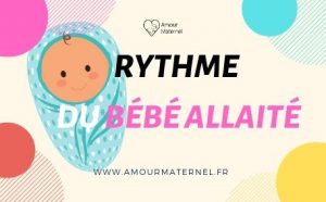 Lire la suite à propos de l’article Rythme bébé allaité