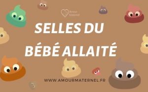 Lire la suite à propos de l’article Selles de bébé allaité : couleur, fréquence et signes à surveiller