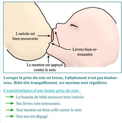 schéma de la prise du sein