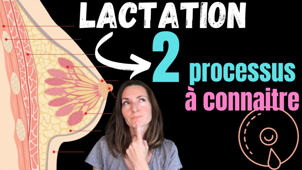 Lire la suite à propos de l’article 2 mécanismes de lactation à connaitre