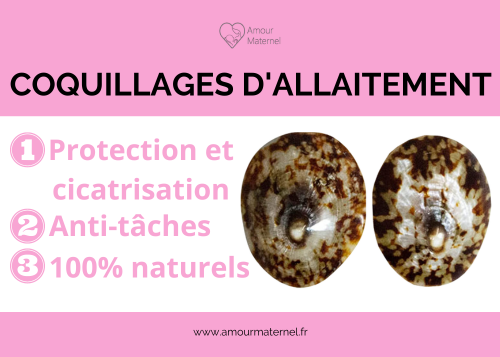 coquillages allaitement avantages