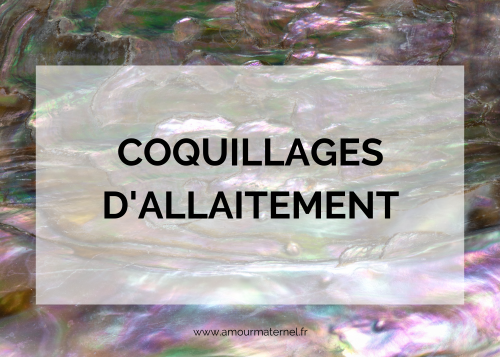 Lire la suite à propos de l’article Coquillages d’allaitement