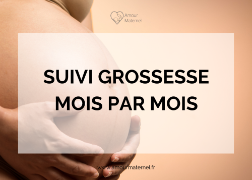 Lire la suite à propos de l’article Suivi de grossesse mois par mois