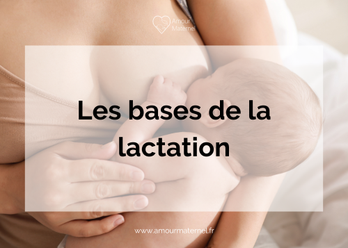 Comprendre les bases de la lactation pour un allaitement épanoui